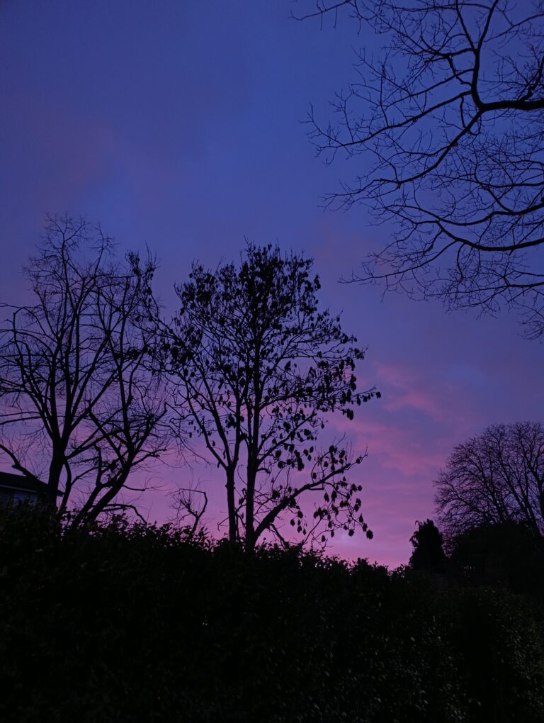 Nakşeylemin Dürtü